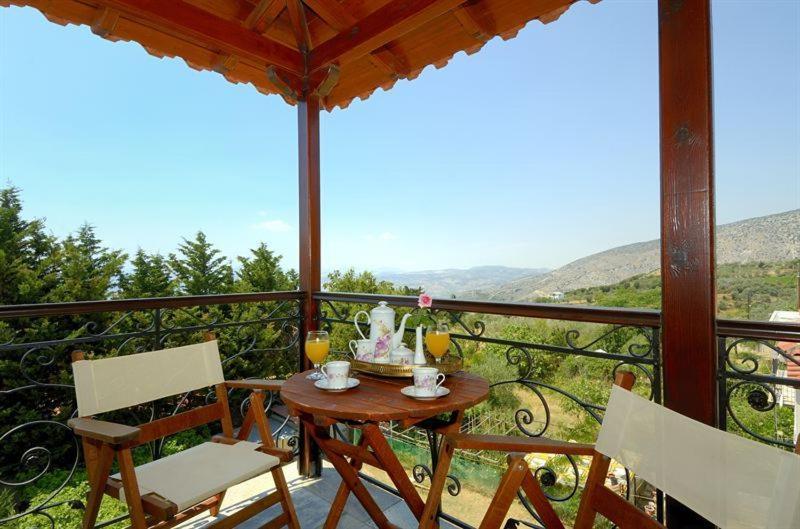 Iatrou Guesthouse Portariá Værelse billede
