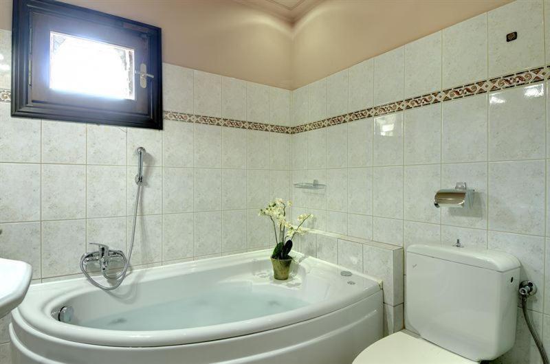 Iatrou Guesthouse Portariá Værelse billede