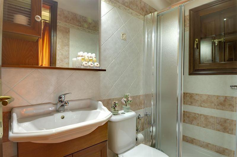 Iatrou Guesthouse Portariá Værelse billede